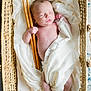 Owen is registered to the contest to win money with this photo: baby, newborn, sleeping, basket, woven, blanket, cloth, drumsticks, infant, peaceful, skin, hand, foot, indoor, soft, rest, cute, napping, portrait, child