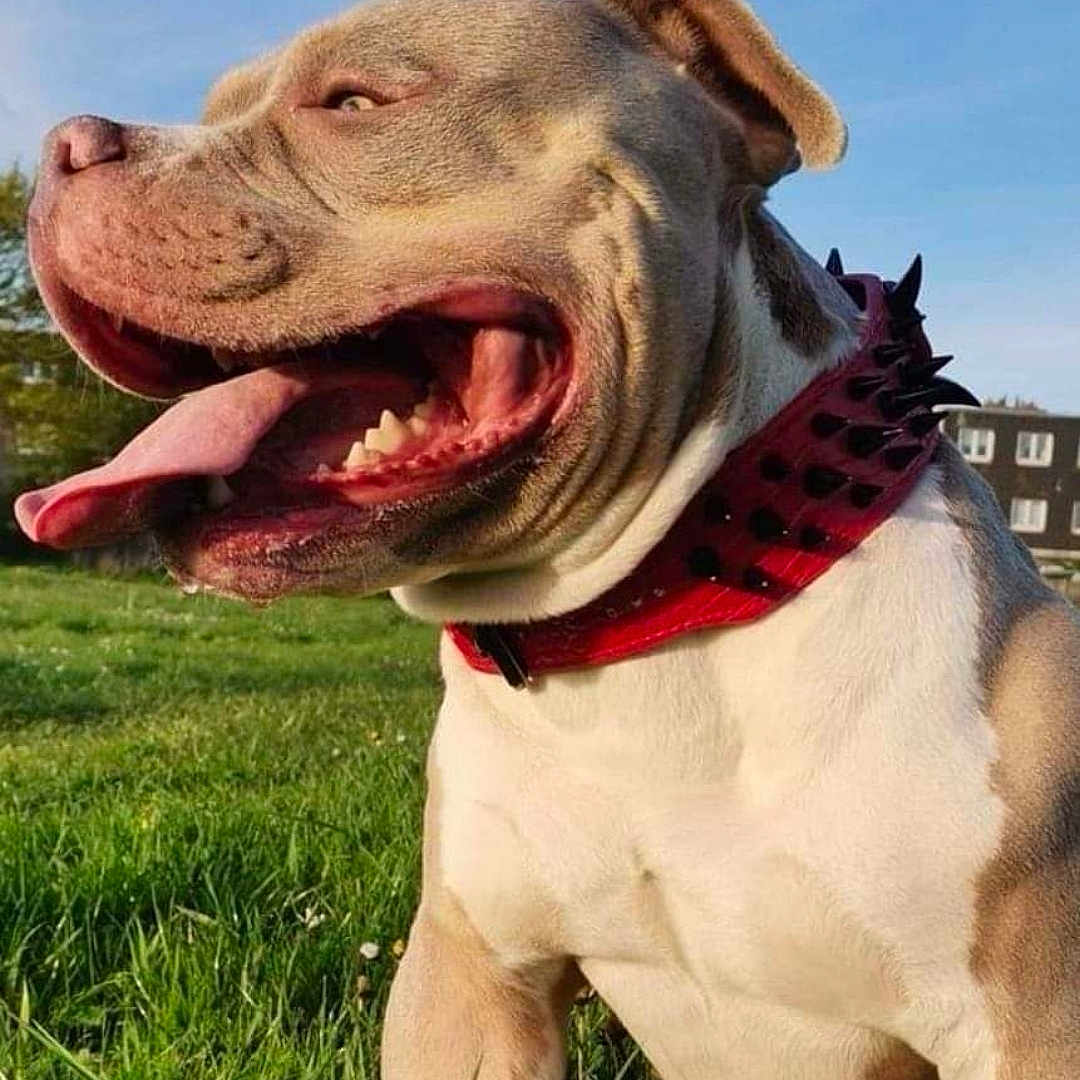 Ruby