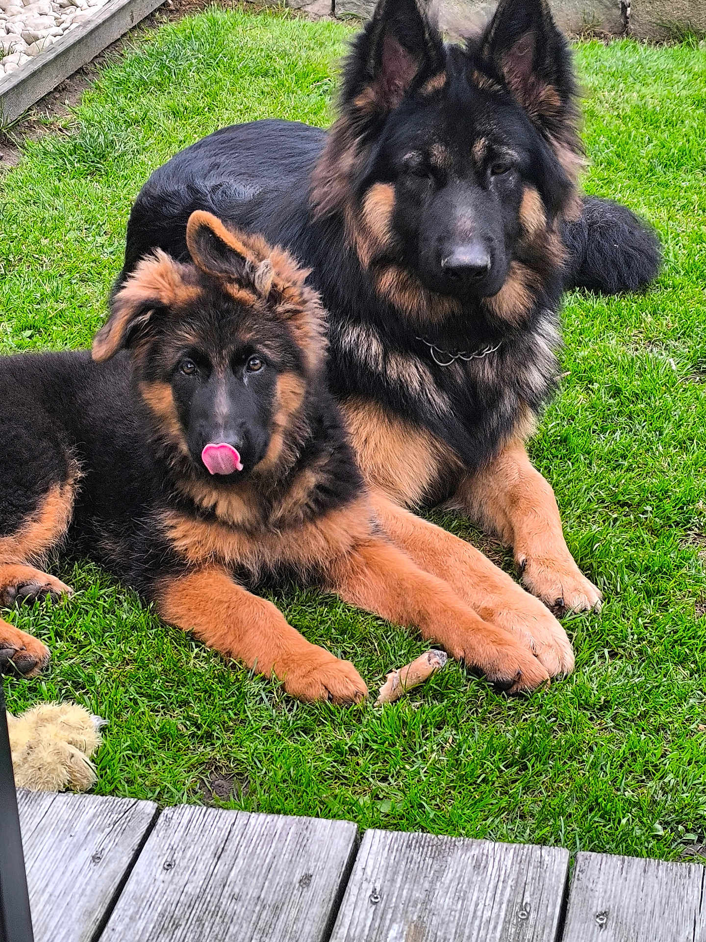 Vaïko Et Akira