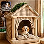 canine, classical_architecture, columns, cozy, curtains, cushion, decor, dog, dog_house, furniture, indoor, pet, pillows, plant, portrait, puppy, resting, small_inset, window, wood_floor