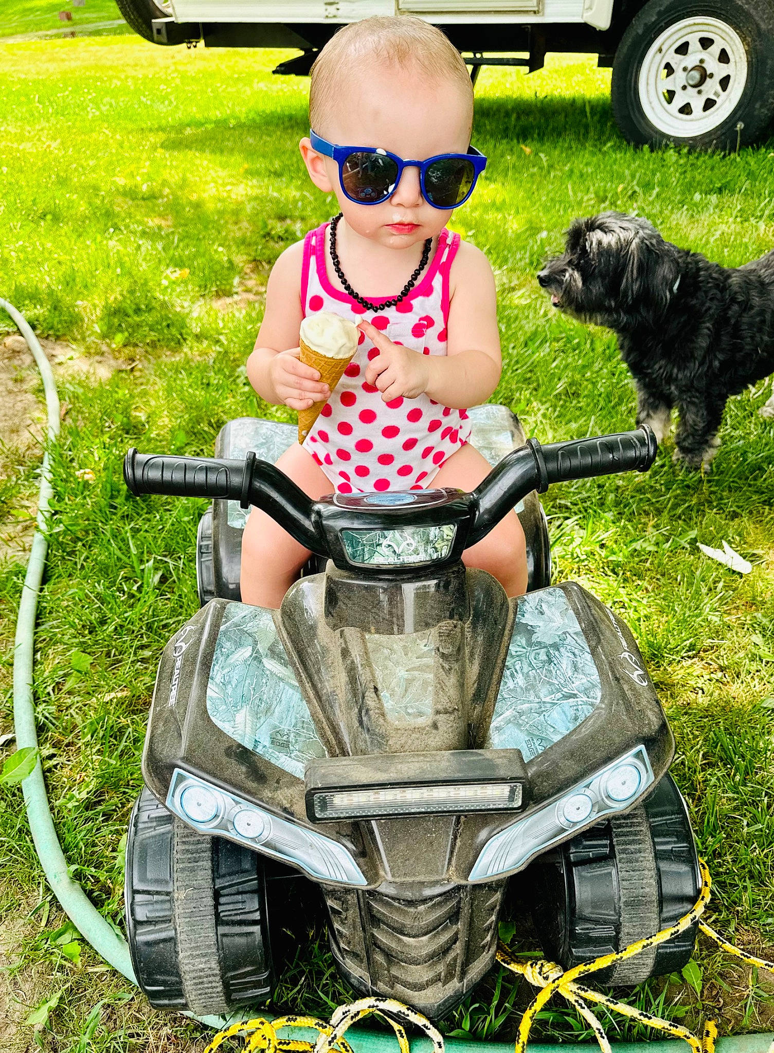 Chloe joined the competition — help win amazing prizes! automotive_tire, carnivore, child, companion_dog, dog, eyewear, glasses, goggles, grass, leisure, motor_vehicle, person, plant, recreation, riding_toy, sunglasses, tire, toddler, toy, vehicle
