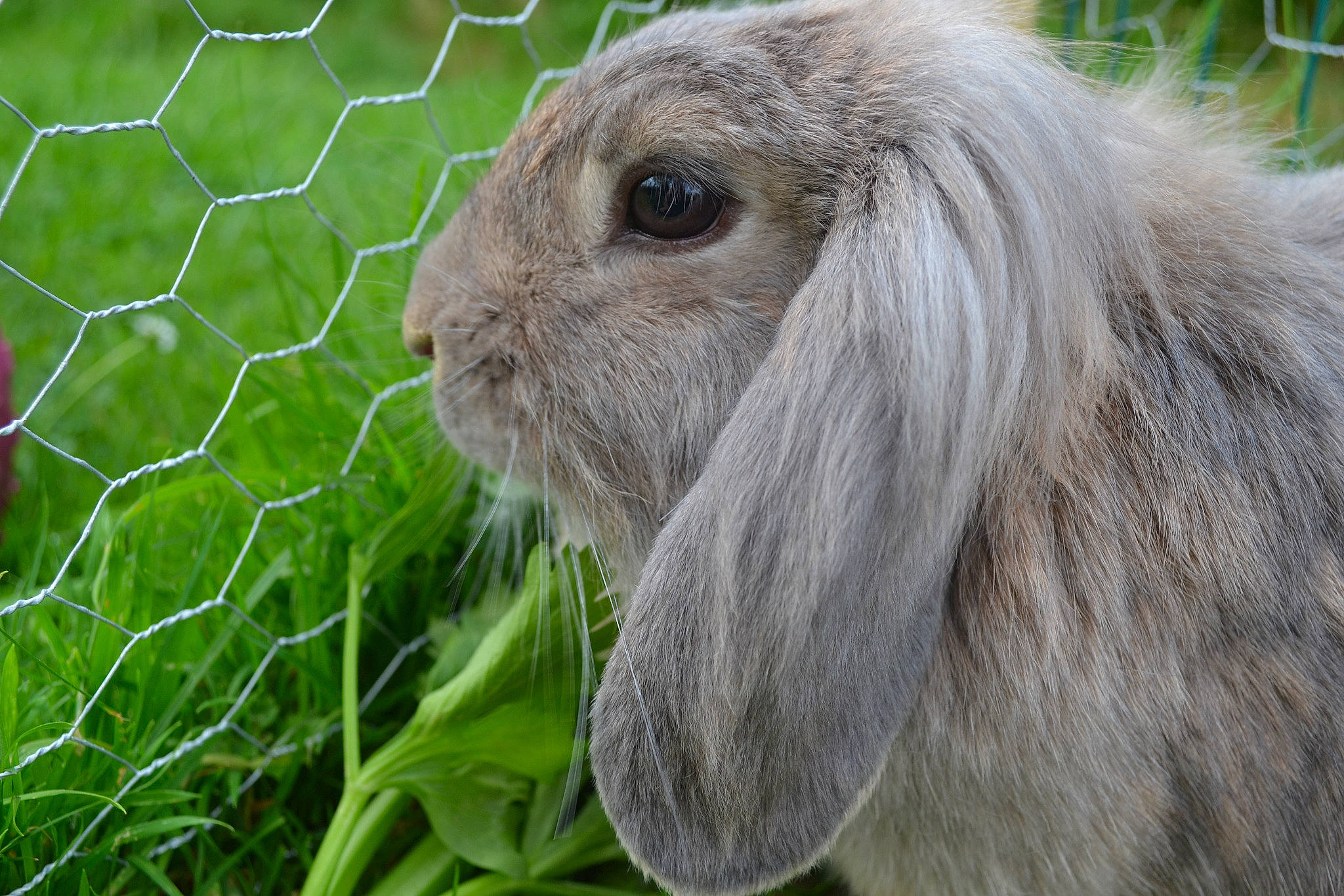 Margaux a rejoint le concours — aidez-le/la à gagner de superbes lots !