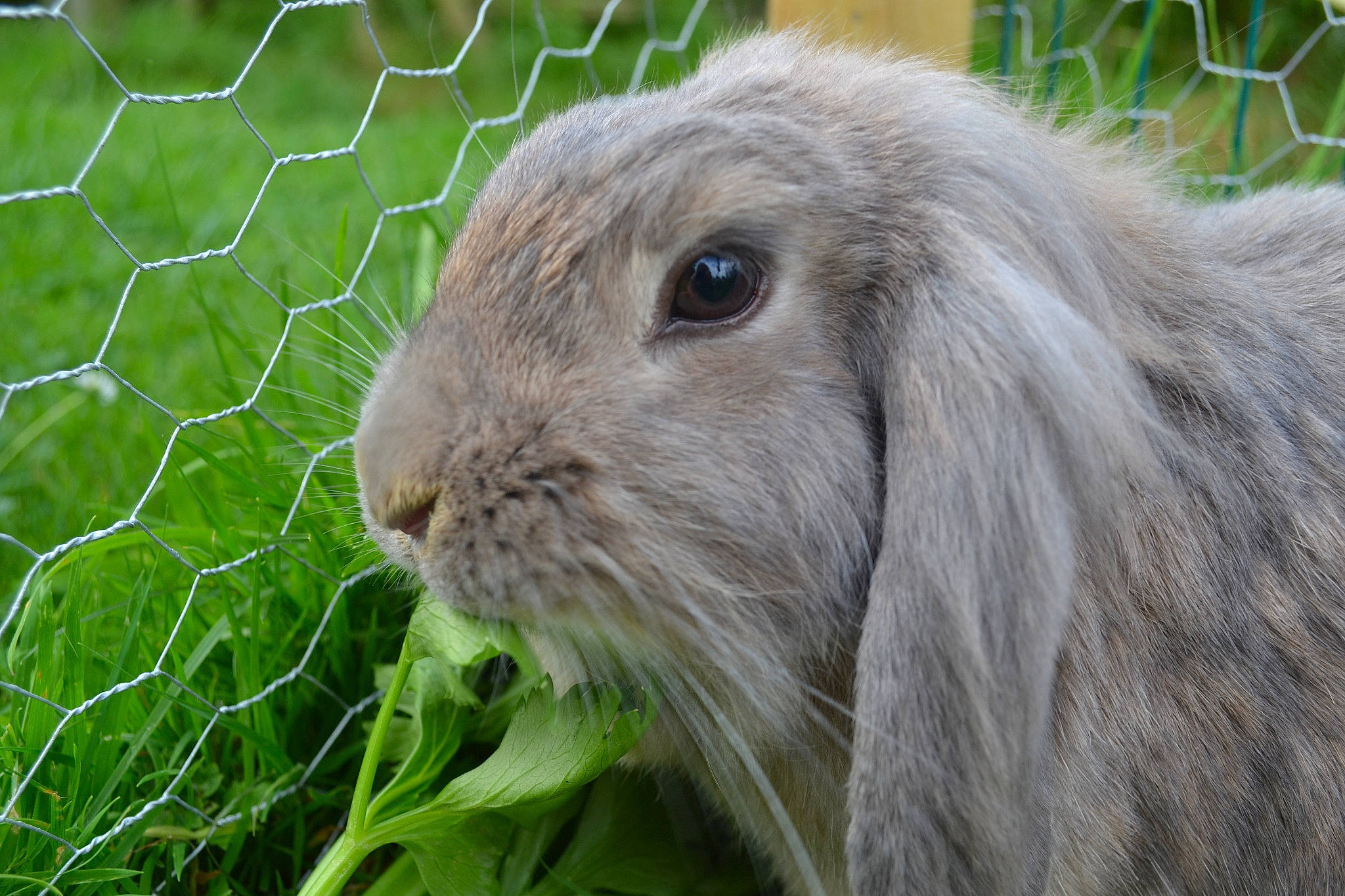 Margaux a rejoint le concours — aidez-le/la à gagner de superbes lots !