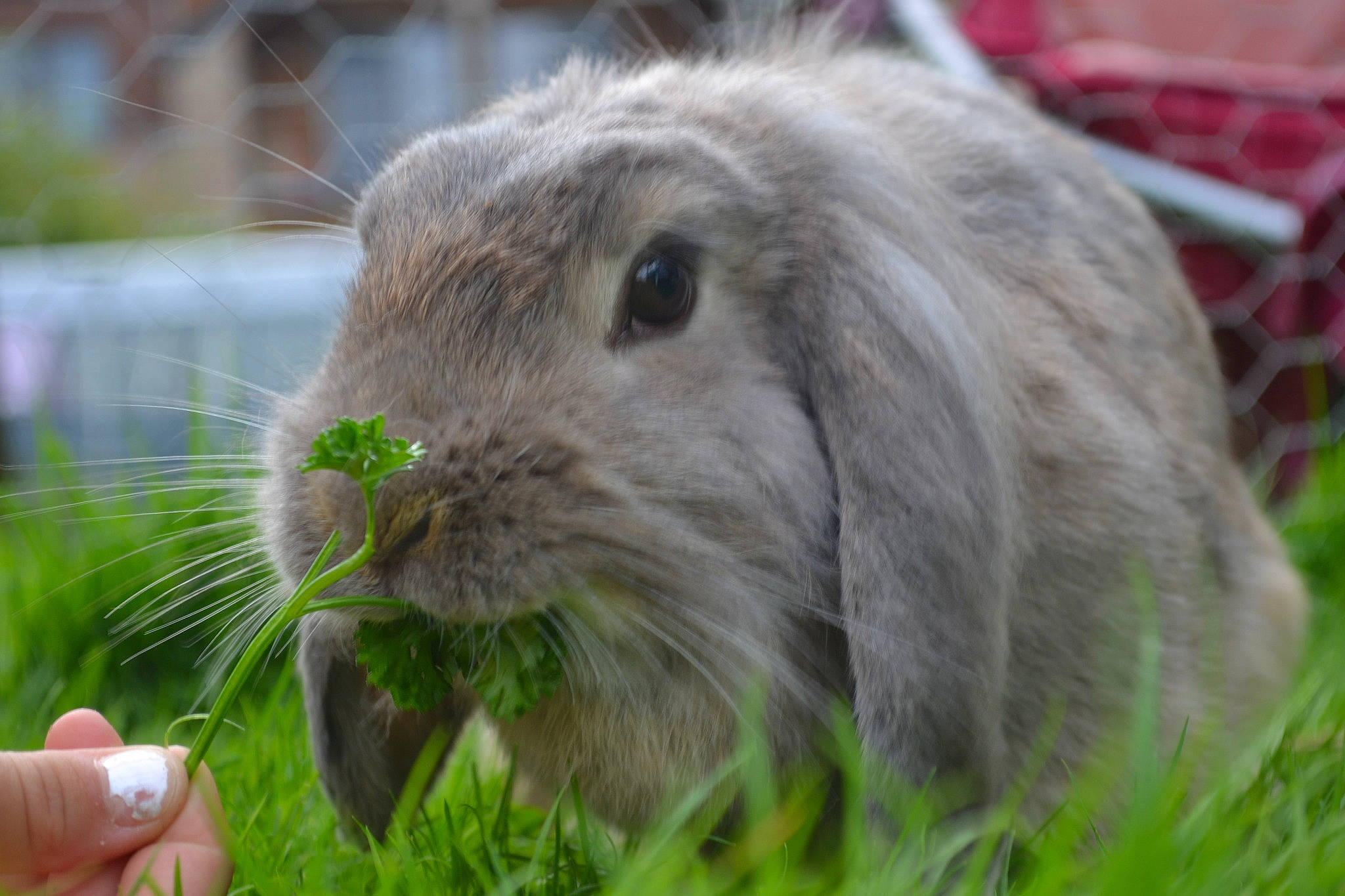 Margaux participe au concours pour gagner de l'argent avec cette photo :