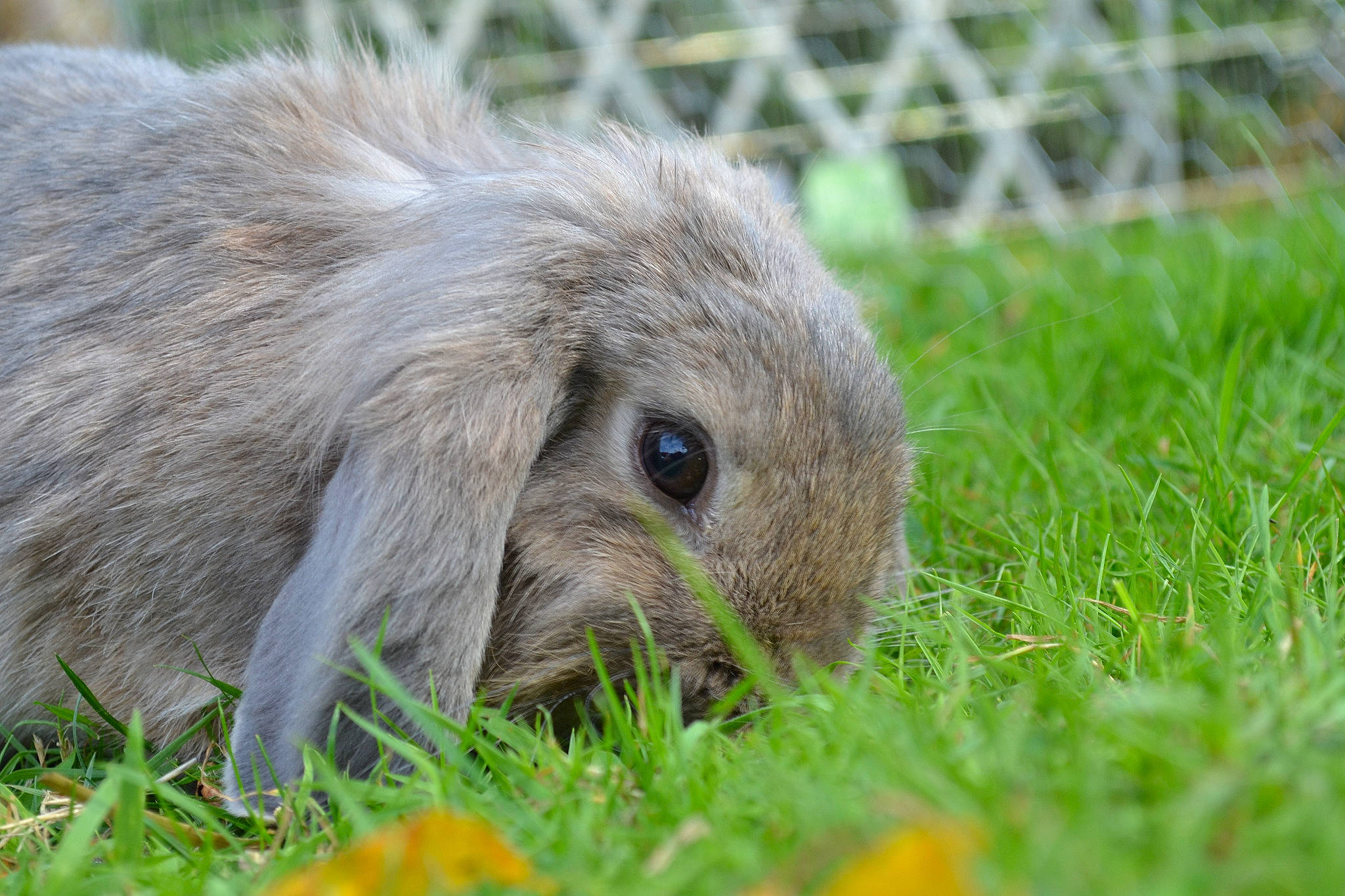 Margaux participe au concours pour gagner de l'argent avec cette photo :