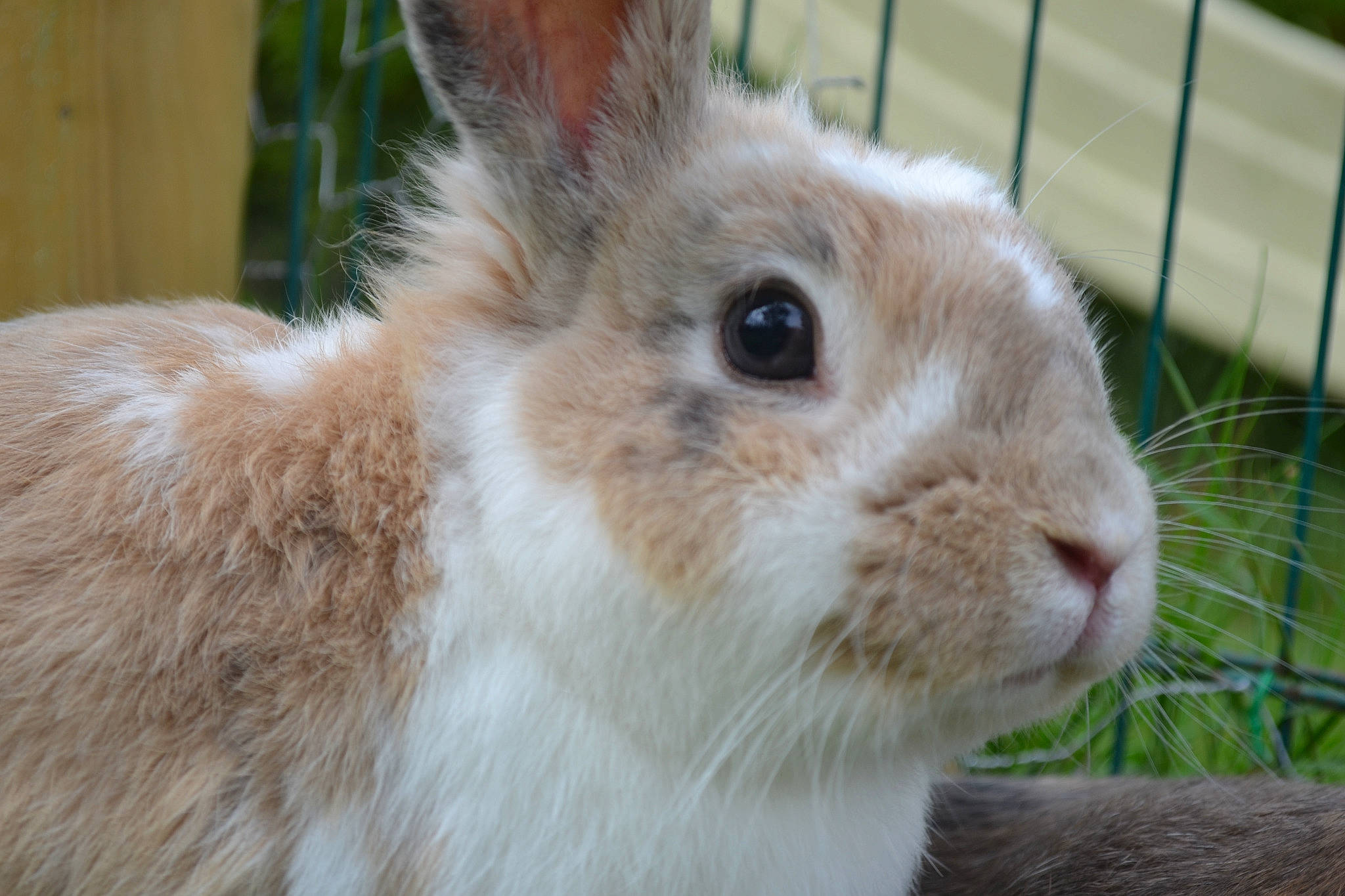 Jacky participe au concours pour gagner de l'argent avec cette photo :