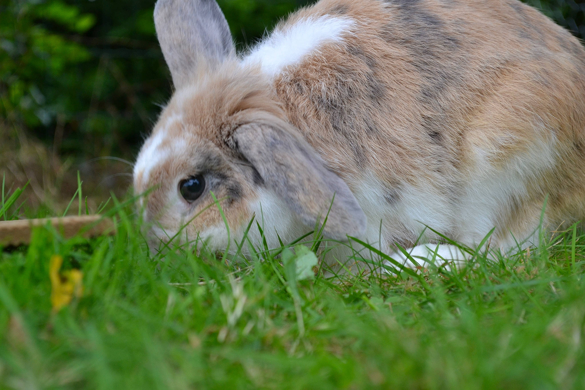 Jacky a rejoint le concours — aidez-le/la à gagner de superbes lots !