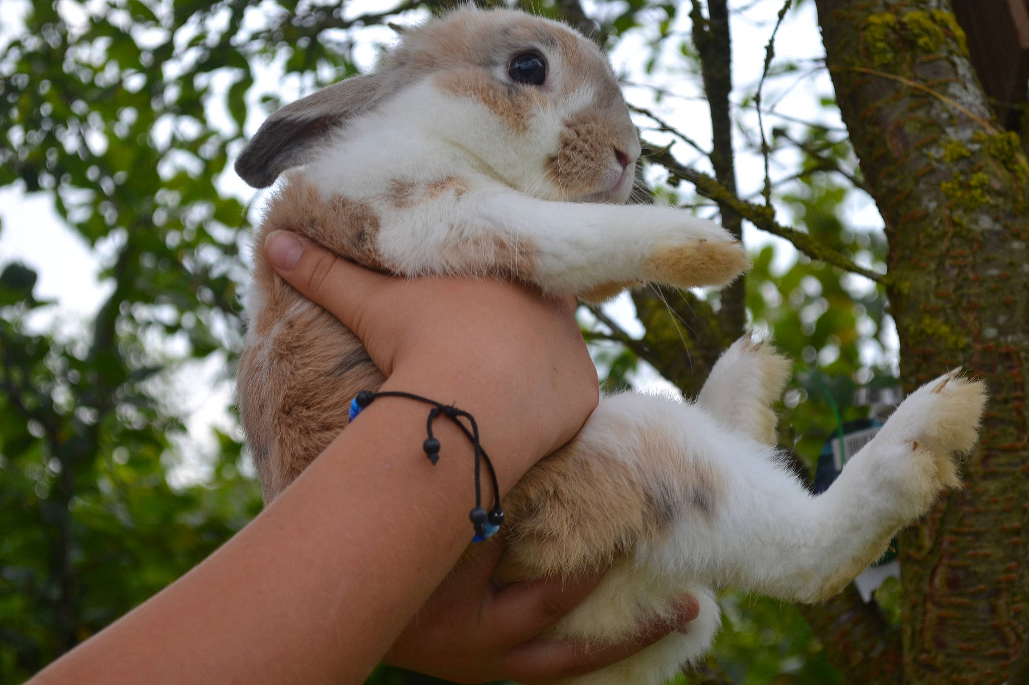 Jacky a rejoint le concours — aidez-le/la à gagner de superbes lots !