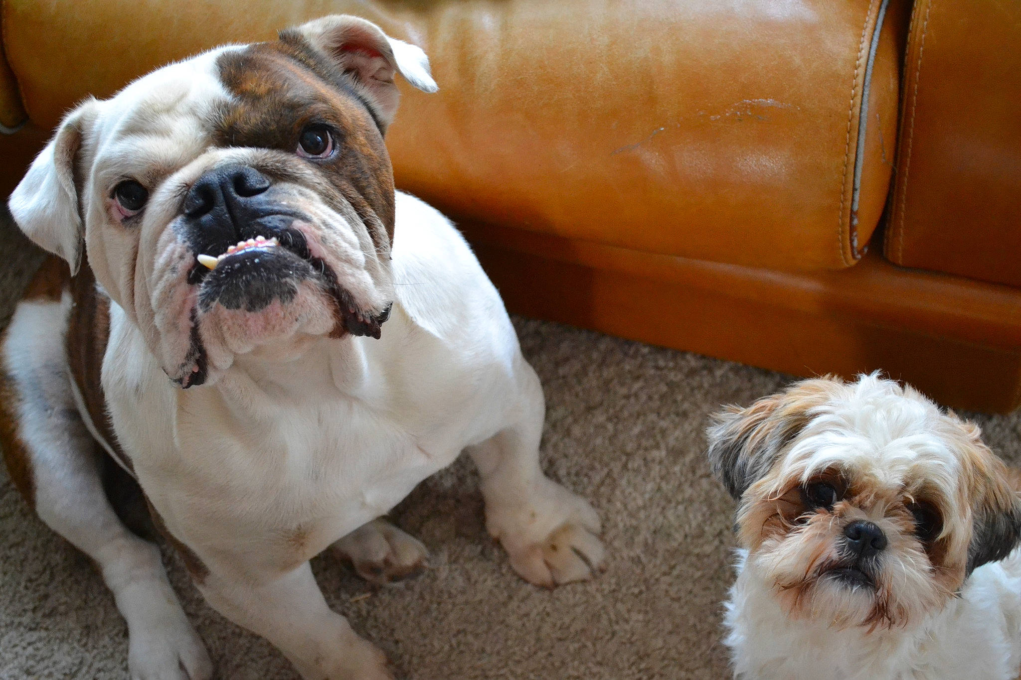 Omaley participe au concours pour gagner de l'argent avec cette photo :