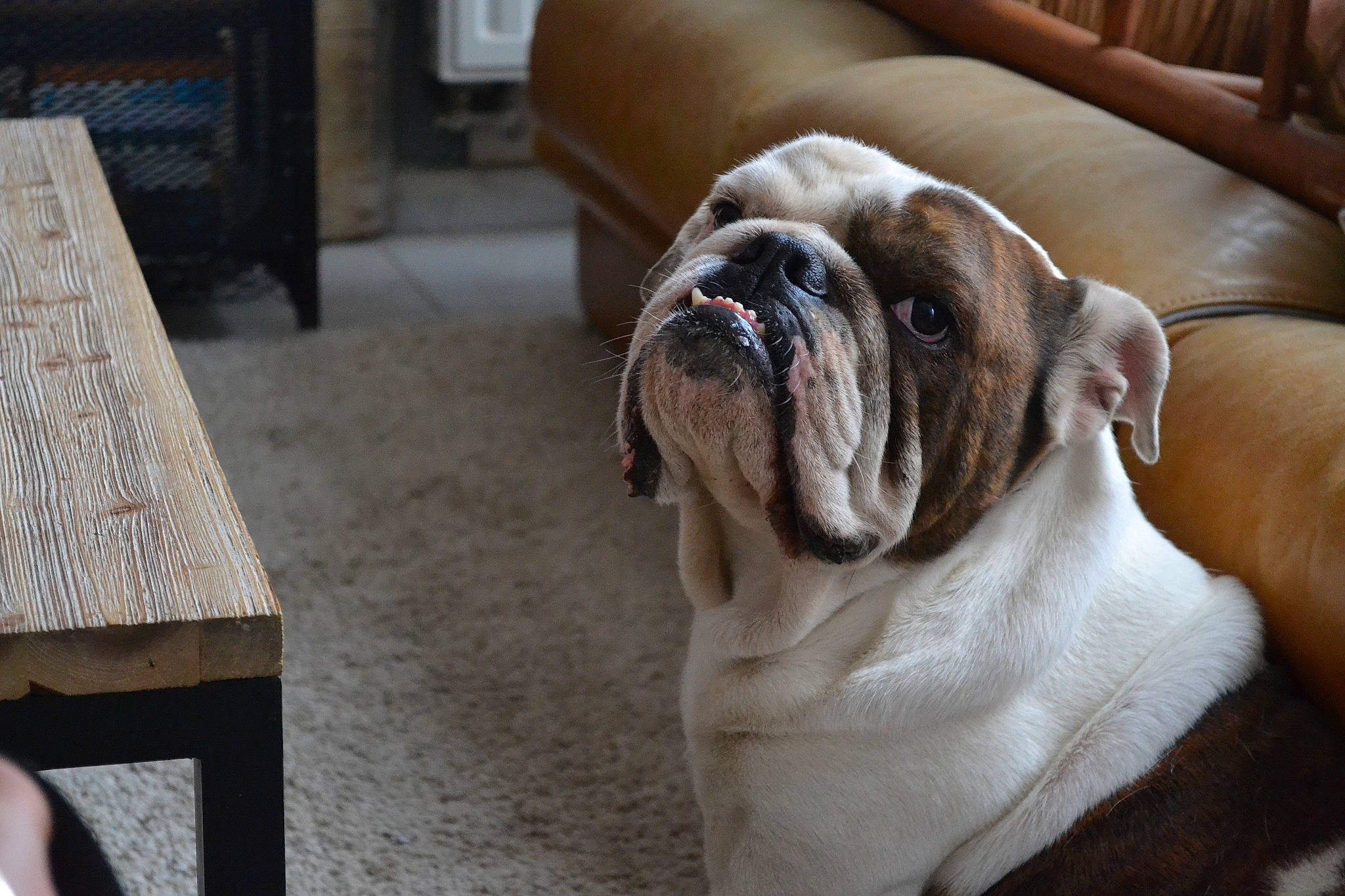 Omaley a rejoint le concours — aidez-le/la à gagner de superbes lots !