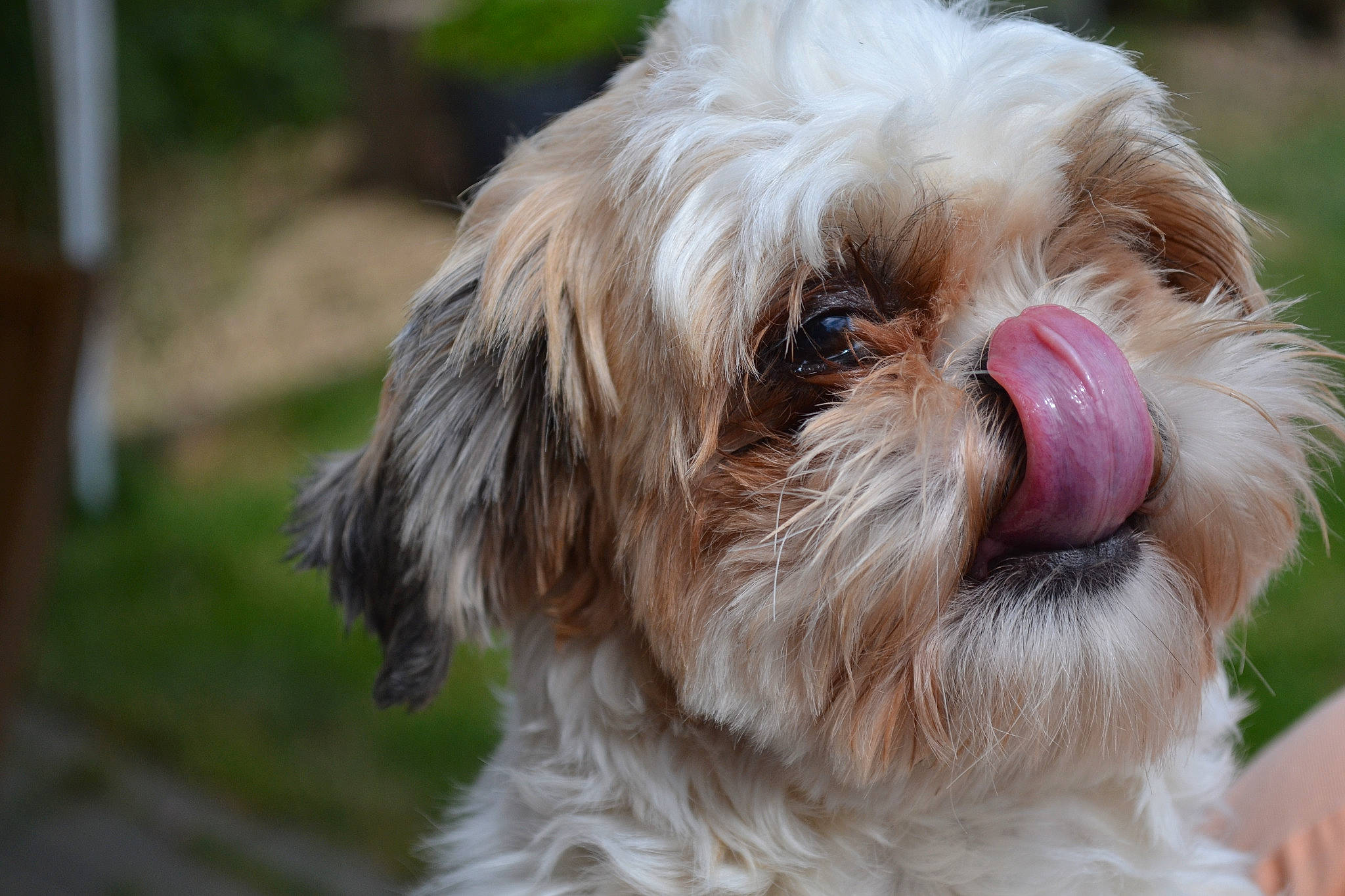 Sacoche a rejoint le concours — aidez-le/la à gagner de superbes lots !