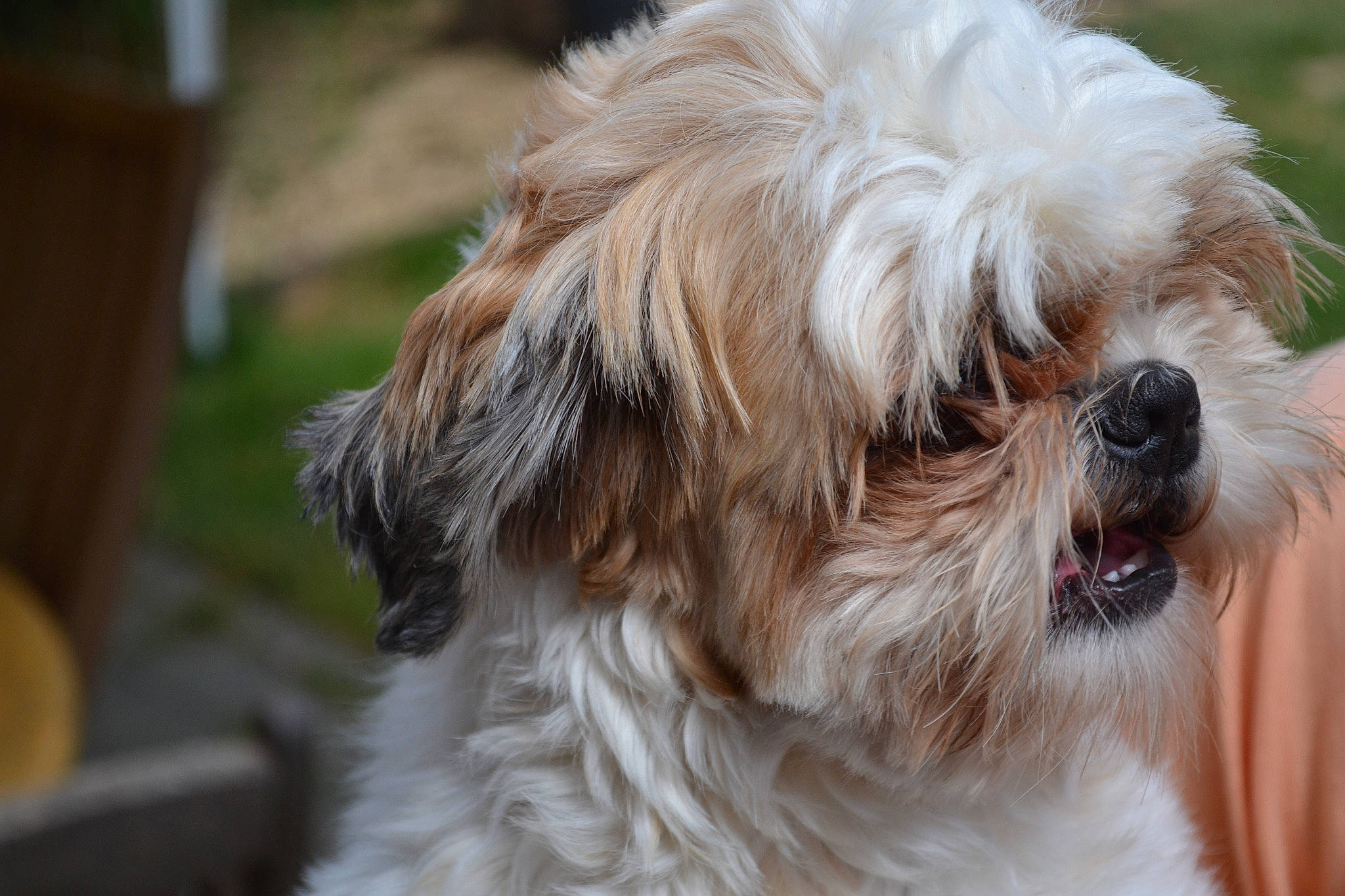 Sacoche a rejoint le concours — aidez-le/la à gagner de superbes lots !