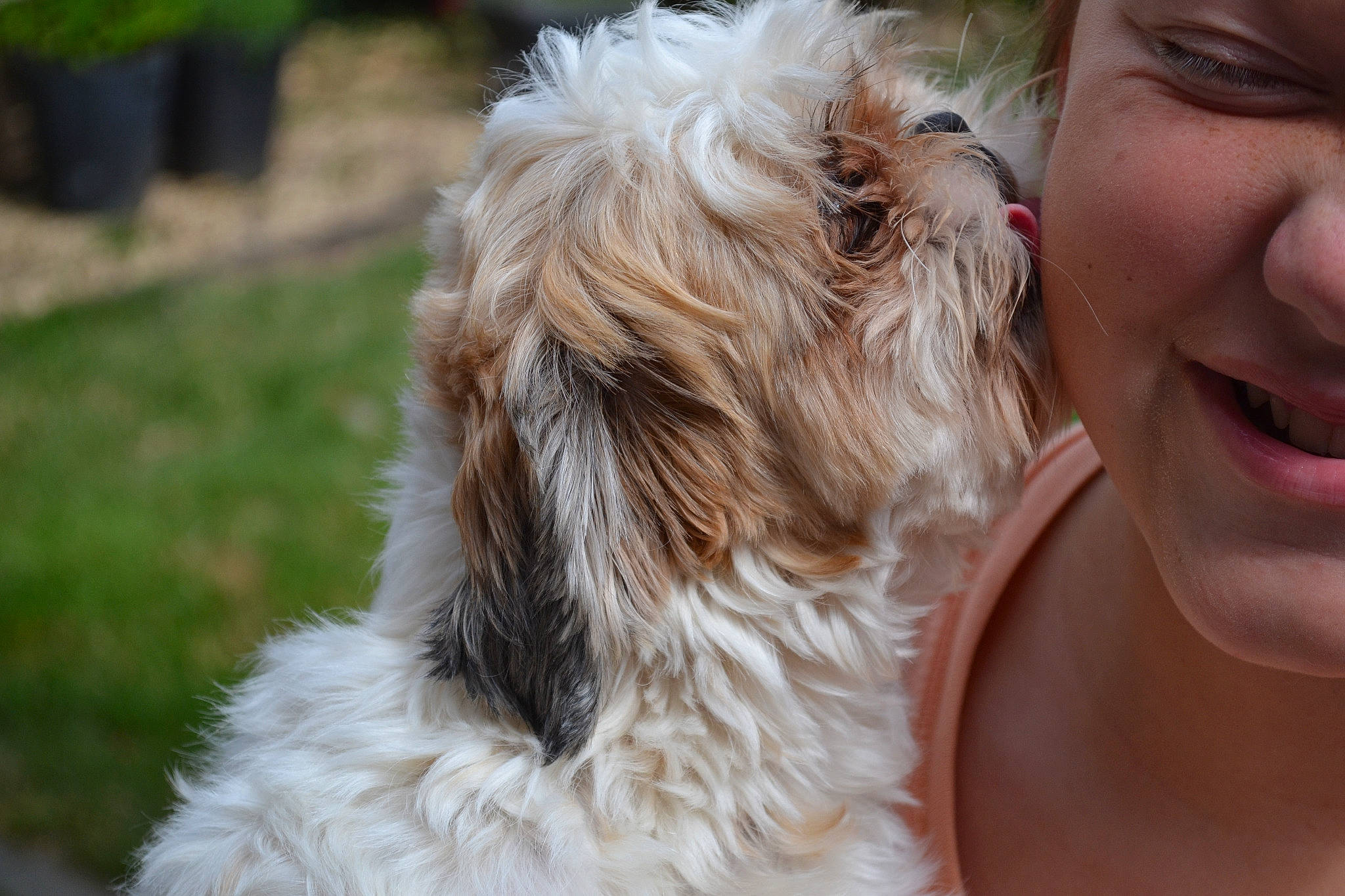 Sacoche participe au concours pour gagner de l'argent avec cette photo :