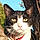 Handsome Buddy