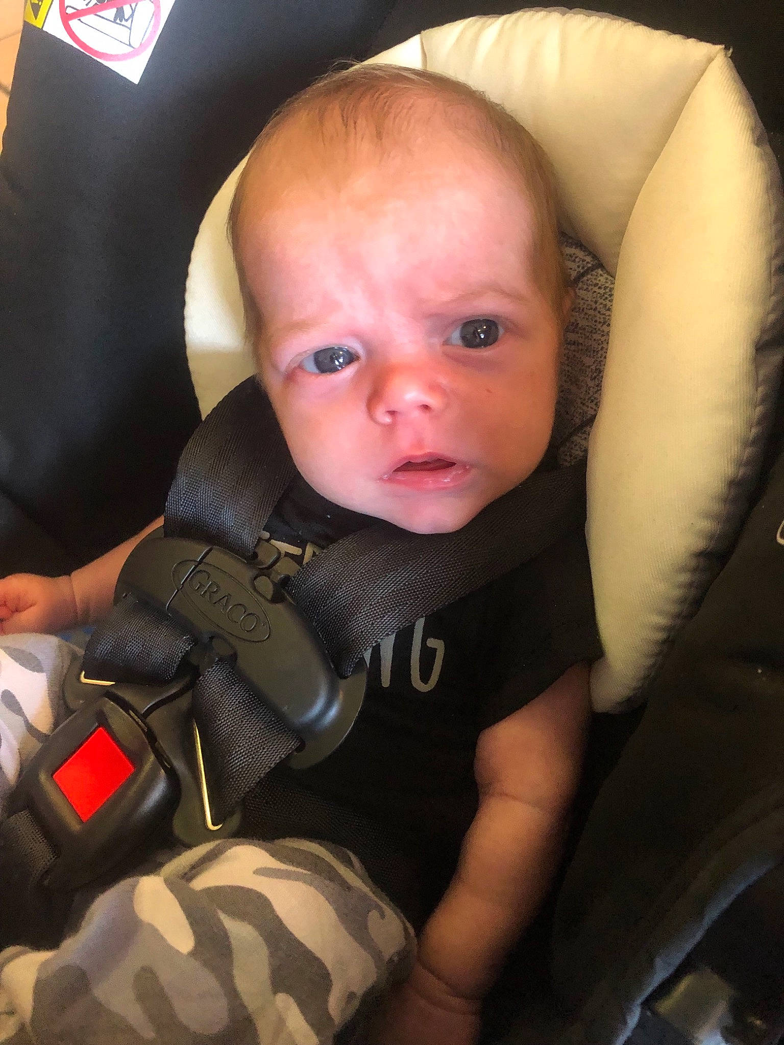 Everett is registered to the contest to win money with this photo: baby, baby_carriage, baby_in_car_seat, baby_products, car_seat, cheek, child, head, person, product, seat_belt, sitting, skin, toddler, vacation