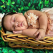 Zoe is registered to the contest to win money with this photo: baby, sleeping, infant, portrait, basket, woven_basket, flower, flower_crown, dress, tulle, peach, greenery, leaves, newborn, peaceful, indoors, closeup, curled_up, photography, cute