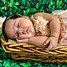 baby, sleeping, infant, portrait, basket, woven_basket, flower, flower_crown, dress, tulle, peach, greenery, leaves, newborn, peaceful, indoors, closeup, curled_up, photography, cute