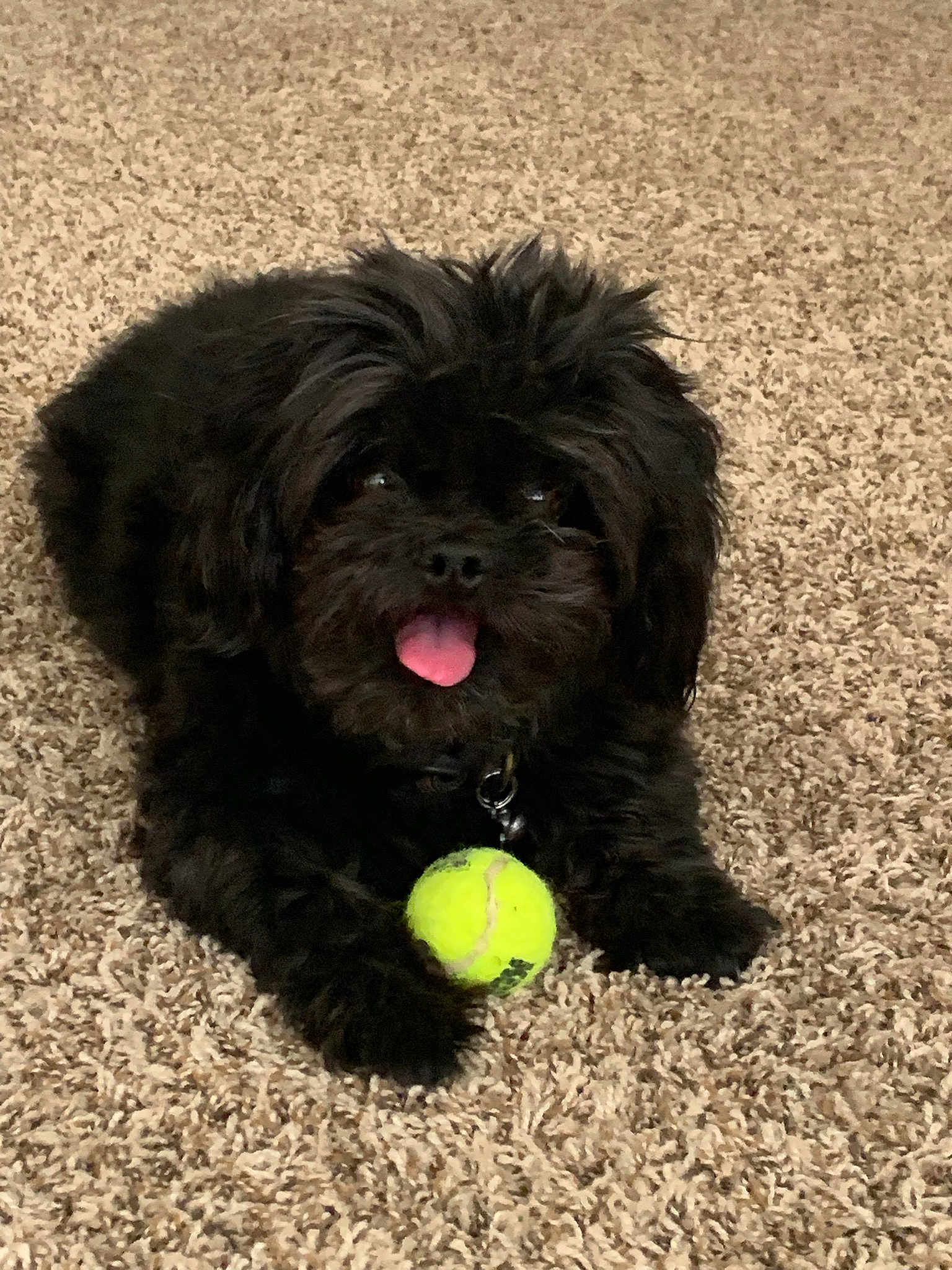 Vader