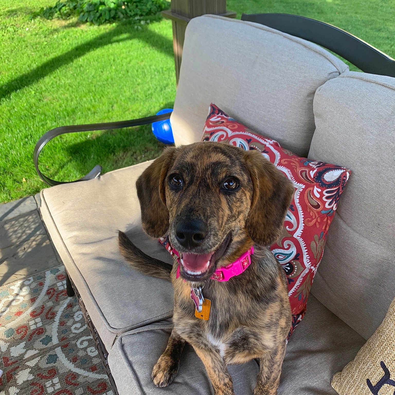 Lily