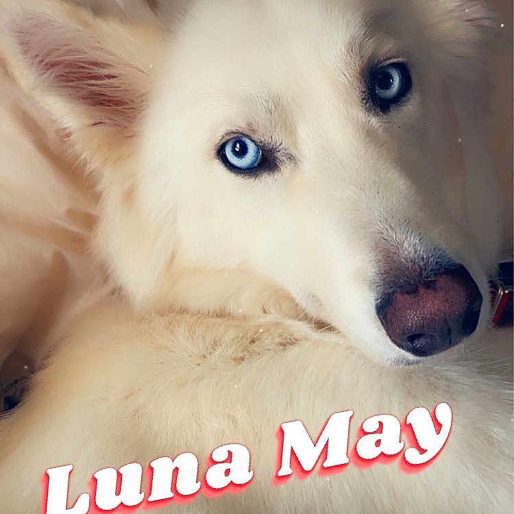 Luna May