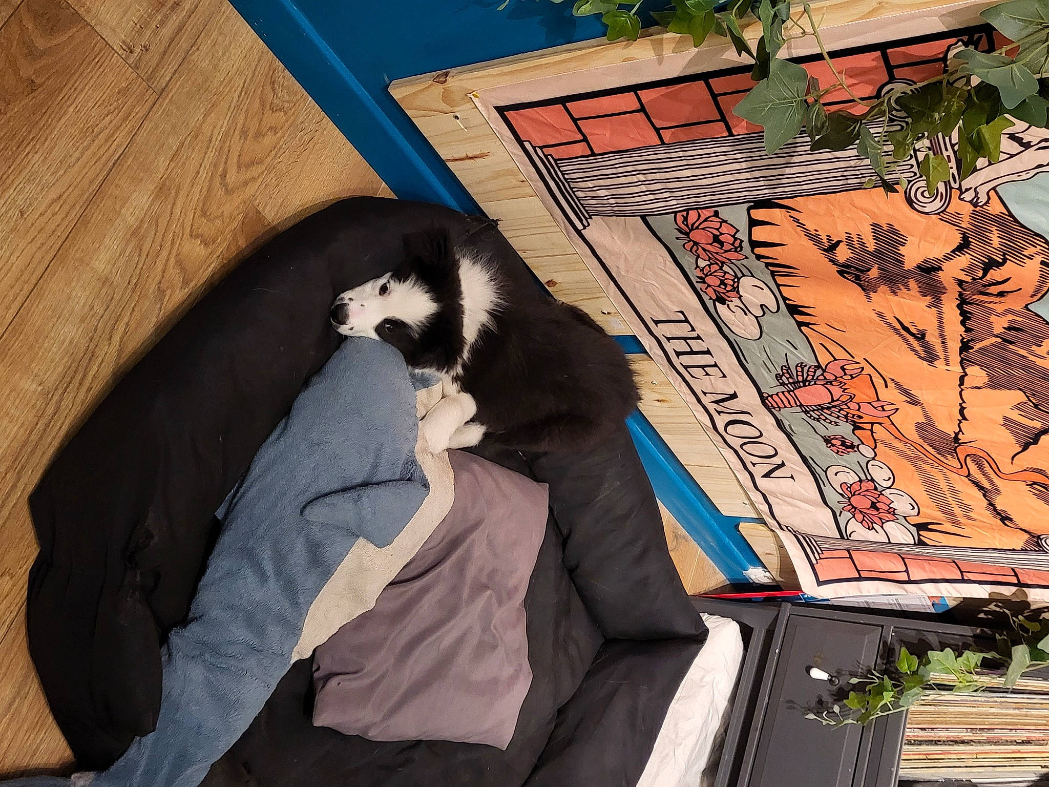 Storm participe au concours pour gagner de l'argent avec cette photo : art, brick, carnivore, companion_dog, facade, felidae, fur, graffiti, illustration, leisure, mural, painting, roof, sidewalk, small_to_medium_sized_cats, street, tail, tints_and_shades, tree, visual_arts