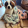 dog, puppy, saint_bernard, blanket, indoor, floor, tile, paw, fur, cute, pet, animal, cozy, resting, home, canine, young, wrapped, looking, relaxed