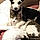 Dayna Et Loona