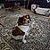 Gidget