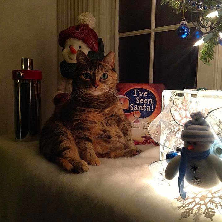 Trixie is registered to the contest to win money with this photo: