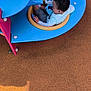 Raphaël a rejoint le concours — aidez-le/la à gagner de superbes lots ! child, toddler, playground, colorful, toy, plush_toy, blue, orange, rubber_surface, play_equipment, curly_hair, casual_clothing, sneaker, foot, outdoor, play, fun, young_child, sitting, person