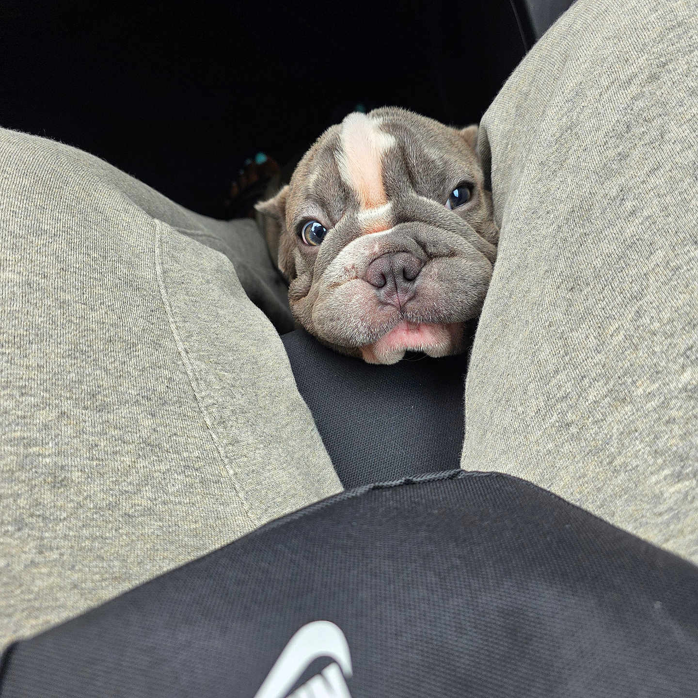 Tyrone