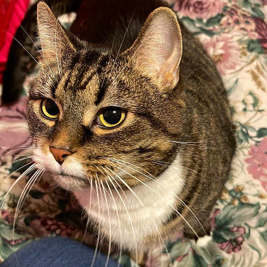 Marley