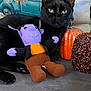 black_cat, plush_toy, pumpkin, decor, couch, autumn, fall, toy, cat, pet, indoor, holiday, orange, purple, brown, green_eyes, fabric, glitter, relaxing, cozy