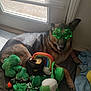 animal, beer_mug, celebration, dog, door, festive, german_shepherd, glasses, green, holiday, indoor, laying, light, pet, plush_toys, rainbow, relaxed, shamrock, toy, window