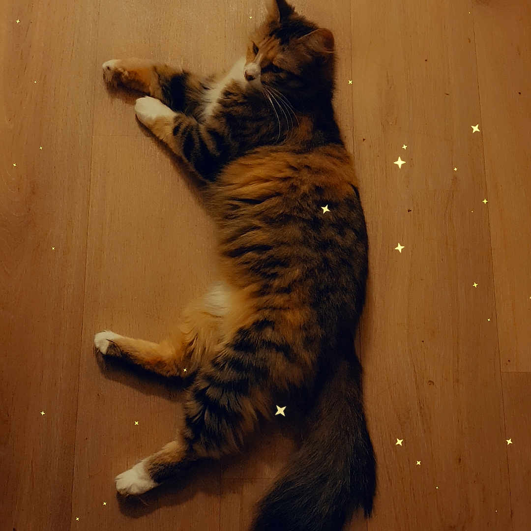 Nala