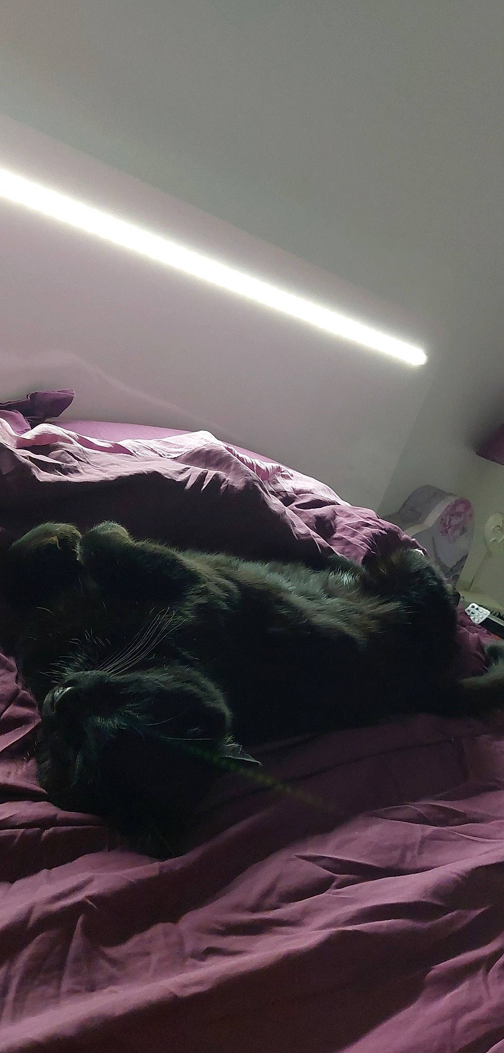 Contrôle Z participe au concours pour gagner de l'argent avec cette photo : bed, bed_frame, bedding, bedroom, cloud, comfort, darkness, flooring, fur, grey, hardwood, human_leg, linens, magenta, mattress, purple, room, textile, tints_and_shades, wood