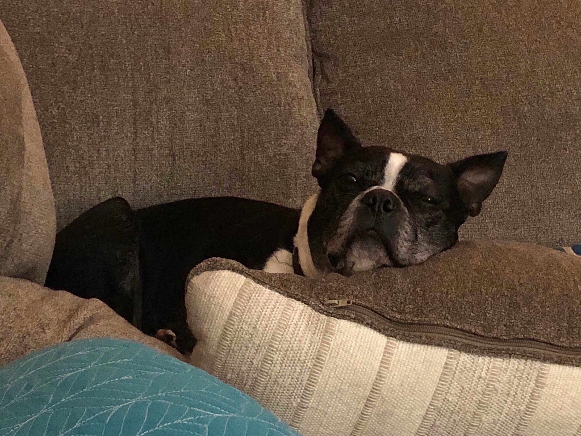 Gus