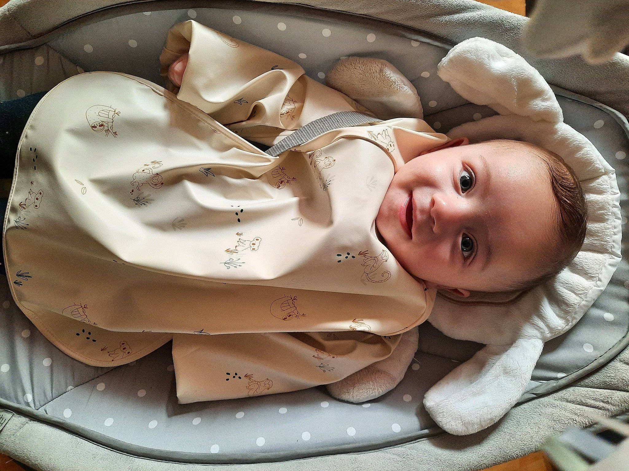 Ayden a rejoint le concours — aidez-le/la à gagner de superbes lots ! auto_part, automotive_design, automotive_wheel_system, baby, baby_carriage, baby_products, cheek, child, comfort, eyebrow, facial_expression, flash_photography, happy, headgear, mouth, person, personal_protective_equipment, smile, toddler, tree