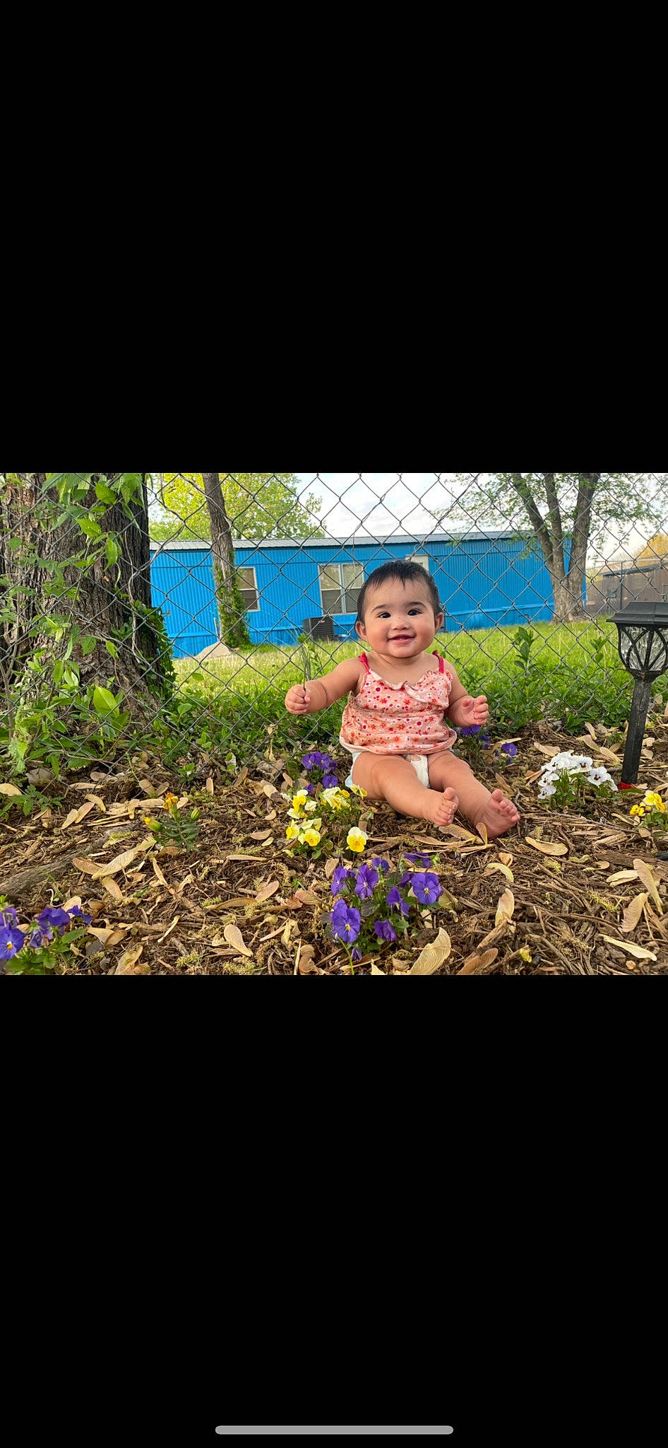 Martha joined the competition — help win amazing prizes! baby, child, electric_blue, flash_photography, flower, fun, garden, grass, happy, joy, landscape, leisure, people_in_nature, person, petal, plant, shrub, sitting, smile, soil