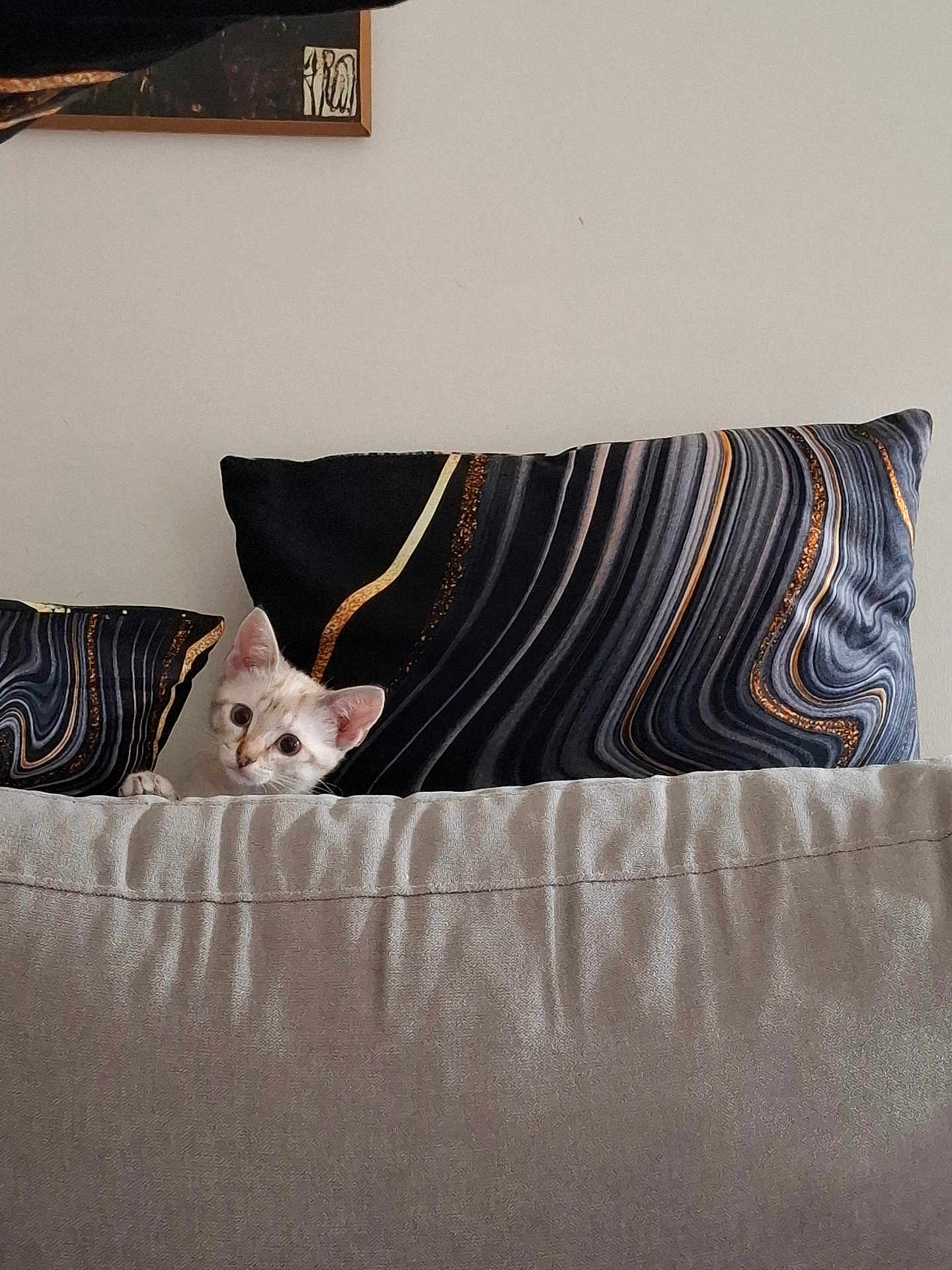 Aïka