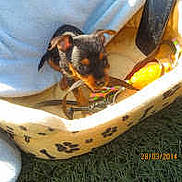 Jerko a rejoint le concours — aidez-le/la à gagner de superbes lots !