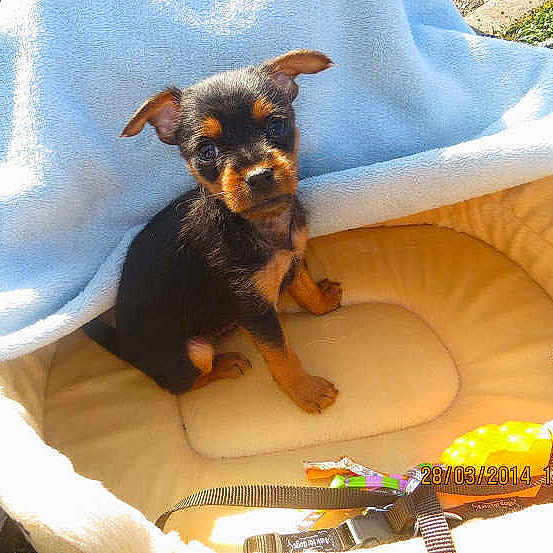 Jerko participe au concours pour gagner de l'argent avec cette photo :