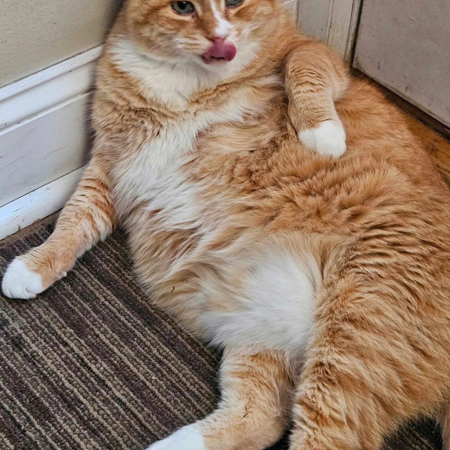 Tommy Boy
