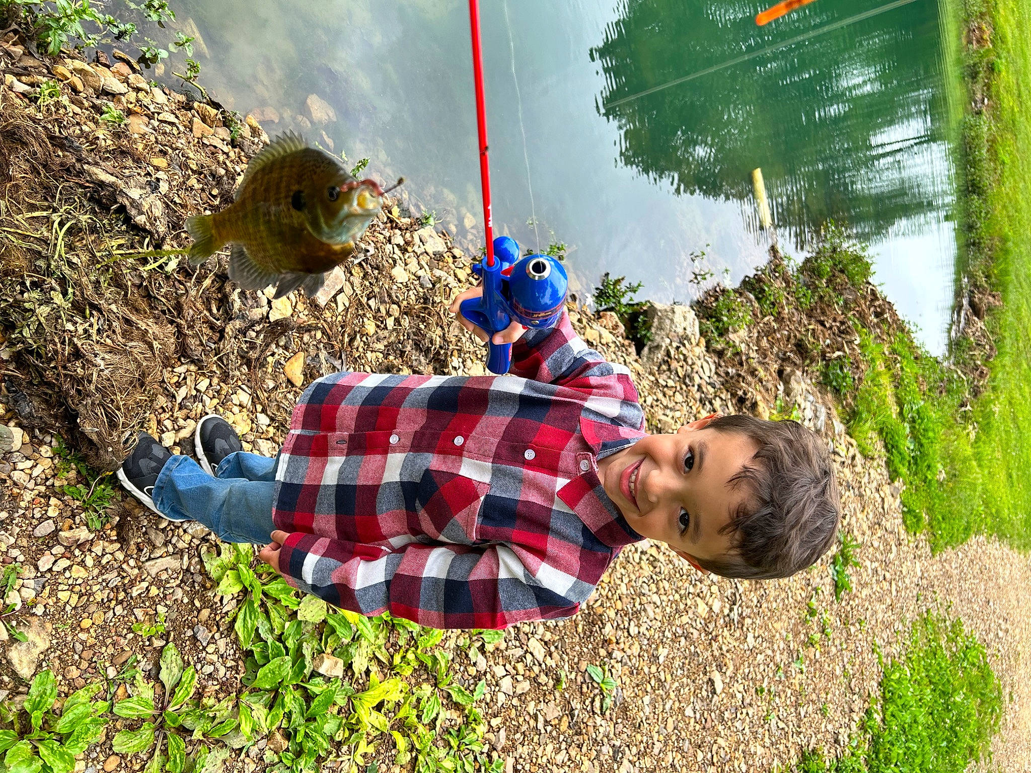 Tavian joined the competition — help win amazing prizes! adaptation, fun, grass, grass_family, grassland, happy, joy, landscape, leaf, leisure, nature, organism, pattern, people_in_nature, person, plant, soil, tartan, toddler, travel