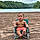Ryker