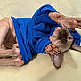 Odie joined the competition — help win amazing prizes! sphynx_cat, hairless_cat, blue_sweater, cat_paws, wrinkled_skin, stretching, pet, indoor, cozy, cute, feline, ears, sleepy, relaxed, animal, soft_surface, beige_background, closeup, domestic_cat, portrait