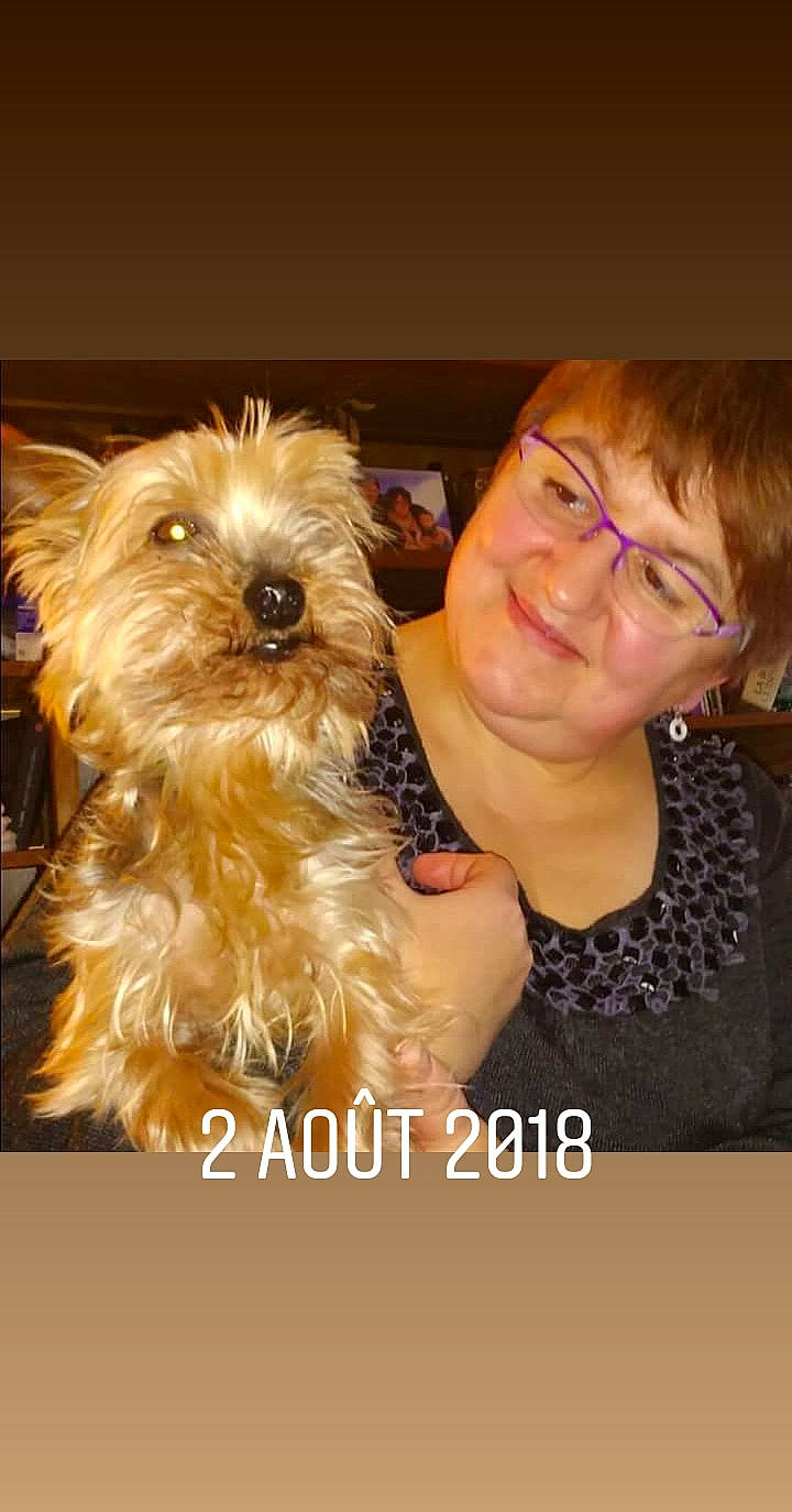 Canaillou participe au concours pour gagner de l'argent avec cette photo : cairn_terrier, carnivoran, companion_dog, dog, dog_breed, dog_like_mammal, ear, joy, morkie, person, photo_caption, puppy, puppy_love, shih_tzu, small_terrier, snout, terrier, yorkshire_terrier