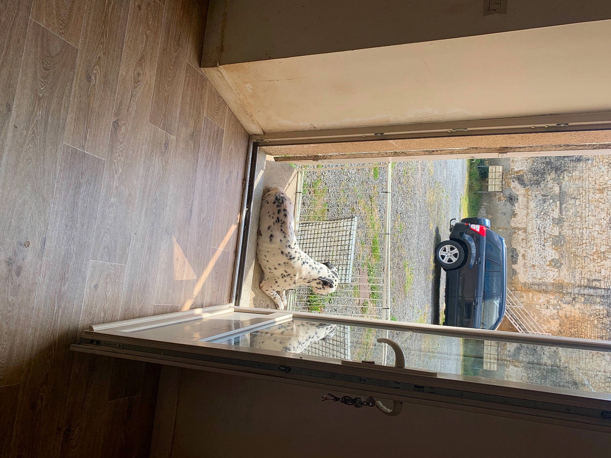 Ulysse a rejoint le concours — aidez-le/la à gagner de superbes lots ! automotive_exterior, building, cabinetry, countertop, floor, flooring, glass, hardwood, house, kitchen, plant, plumbing_fixture, plywood, sink, tap, tire, wheel, window, wood, wood_stain