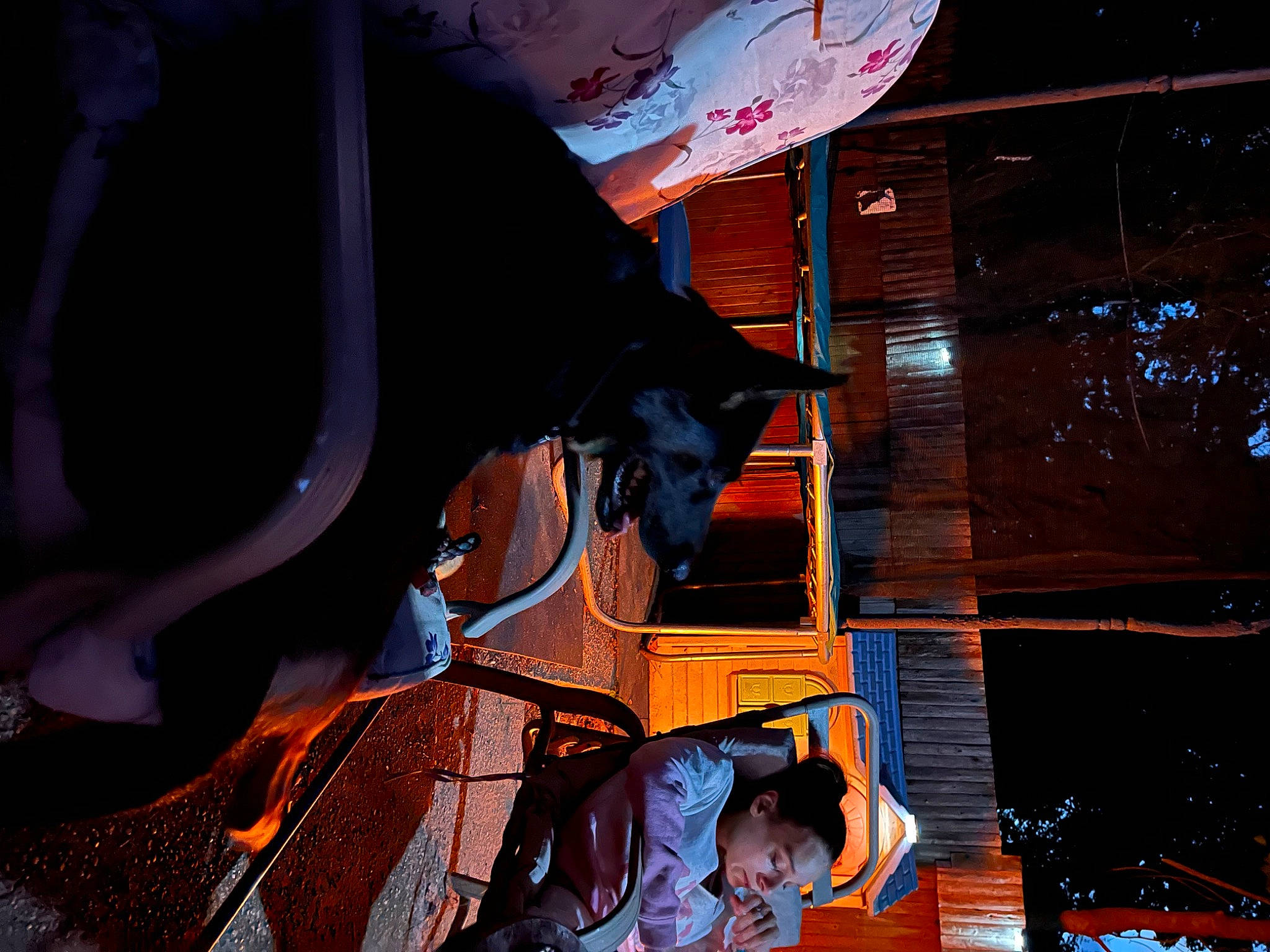 Shadow joined the competition — help win amazing prizes! auto_part, automotive_exterior, carmine, event, fun, hat, heat, machine, metal, orange, personal_protective_equipment, room, space, vehicle_door, working_animal, workwear