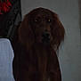 Kiki participe au concours pour gagner de l'argent avec cette photo :